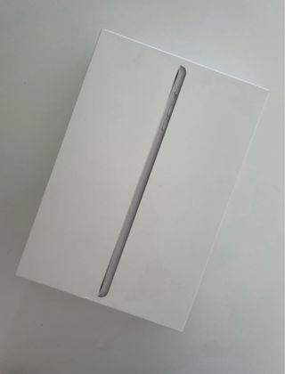 Apple iPad mini Plateado