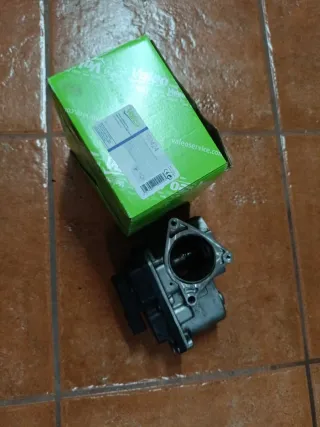 Válvula EGR Seat Exeo 170cv