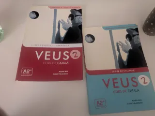 Veus. Curs de català. Llibre d'exercicis i gram...