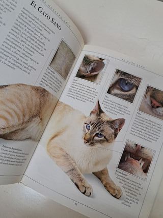 MANUAL DEL CUIDADO DEL GATO