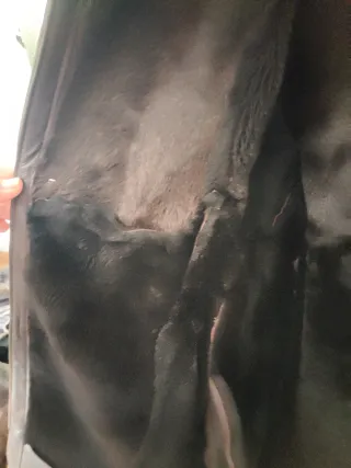 Chaquetón piel vacuno y conejo