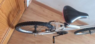 Bicicleta Infantil 20