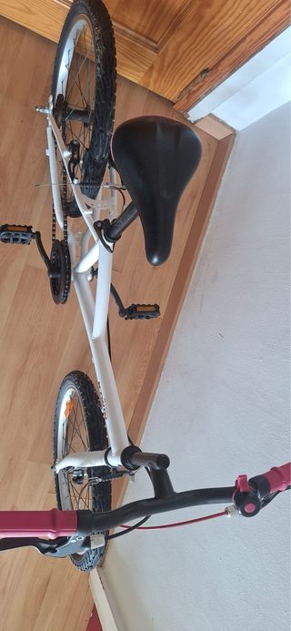 Bicicleta Infantil 20