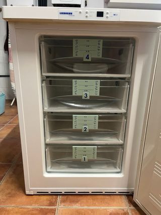 Congelador Liebherr GP 1456 Bajo Consumo