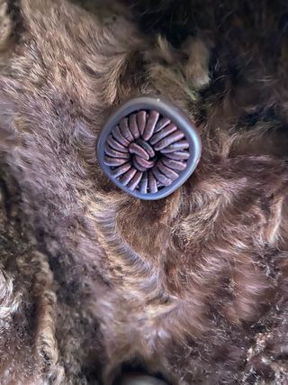 Abrigo vintage tipo astracán marrón