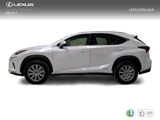 Lexus NX 2.5 300h Business Navigation 2WD