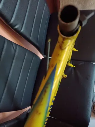 Cuadro Olmo Clásica Carretera