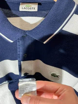 Luxury High Quality Lacoste. Blanco Azul Marino