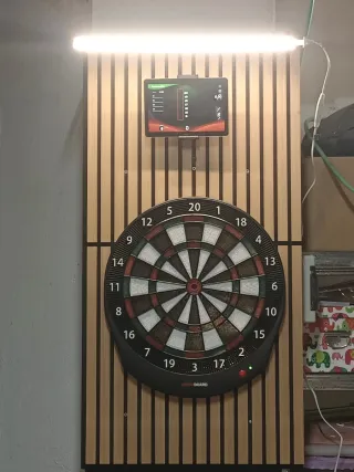 Diana Electrónica Profesional