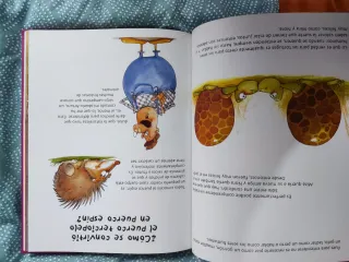 Las más bellas historias