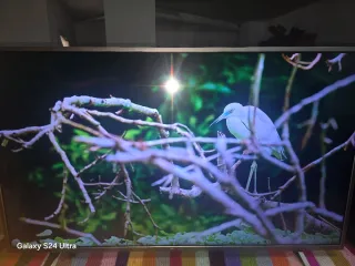 TV Thomson Android 55 Negra