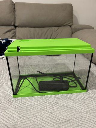 Pecera pequeña verde con filtro