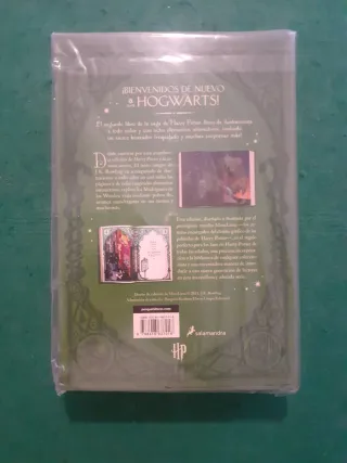 HARRY POTTER Y LA CÁMARA SECRETA