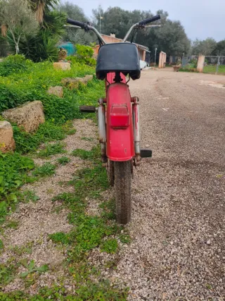 Mobilette Cady 50cc ciclomotor