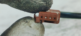 CONMUTADOR DE ARRANQUE PEUGEOT 208 (P2) 1.2I TURB