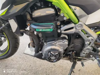Kawasaki Z900 A2 2019