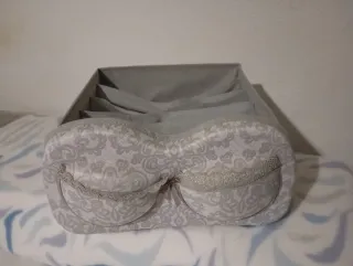 Organizador de sujetadores con compartimentos