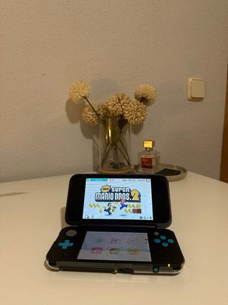 Nintendo 2DS XL