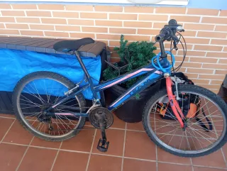 Bicicleta infantil 24 buen estado