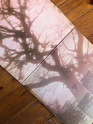 Vinilo Com un arbre Luis Lach