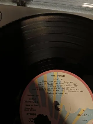 The Bunch Rock On Vinilo