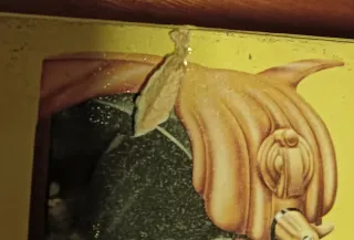 The Bunch Rock On Vinilo