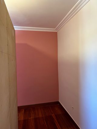 Servicio de pintura profesional