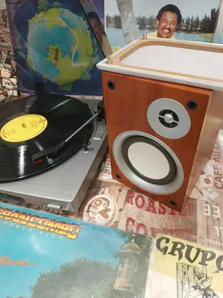 Tocadiscos y Altavoces Sony