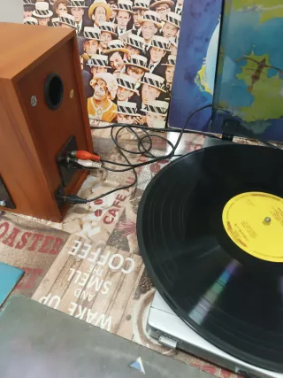 Tocadiscos y Altavoces Sony