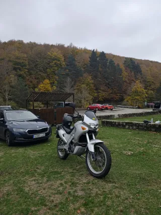 Aprilia pegaso 650 cube