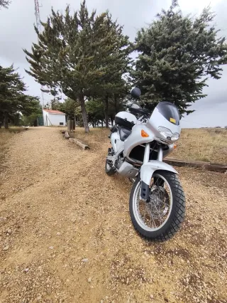 Aprilia pegaso 650 cube