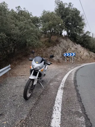 Aprilia pegaso 650 cube