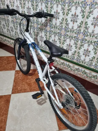 Bicicleta infantil 4-8 años
