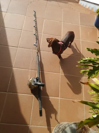 Equipo pesca brumeo.