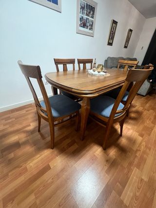 Mesa de comedor con 6 sillas