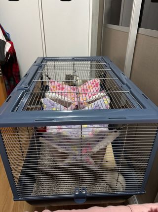 Jaula para ratas domésticas azul