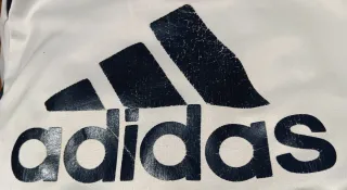 Chándal Real Madrid Adidas cremallera paseo