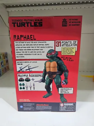 Action Figure Raphael BST AXN
