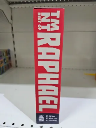 Action Figure Raphael BST AXN