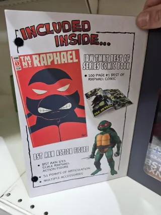 Action Figure Raphael BST AXN