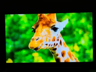 Televisión LG 4K 50 calibrada.