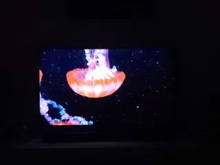 Televisión LG 4K 50 calibrada.