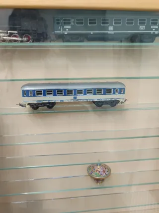 Vetrina esposizione naturale