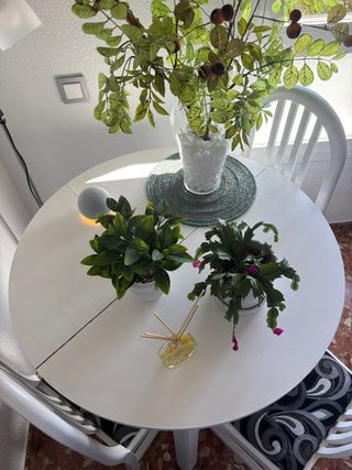 Mesa redonda y 4 sillas