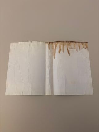 granada x sega mega drive jap 🇯🇵