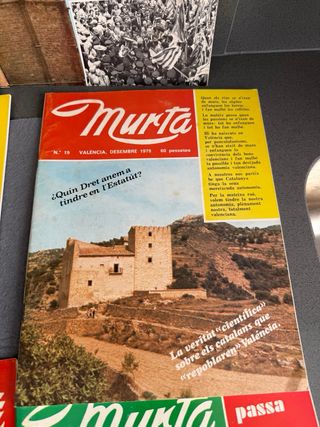 LOTE OCHO NUMEROS REVISTA MURTA VALENCIA AÑOS 70