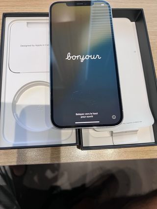 iPhone 12 Pro Max 256GB Plata