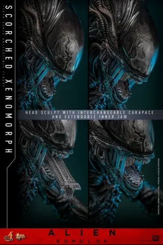 Hot Toys Xenomorph 1/6 Alien Romulus