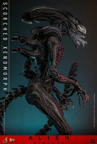 Hot Toys Xenomorph 1/6 Alien Romulus