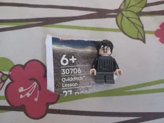 Lego Harry Potter Minifiguras Manuales